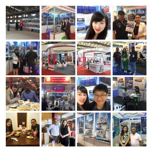 LEFIN STEEL Elva on Construction Exhibition and clients factroy visit